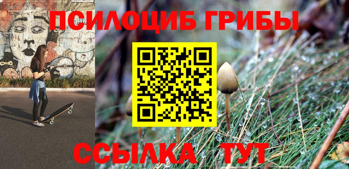 Краснотурьинск  Псилоцибиновые грибы мицелий  Вход с VPN 